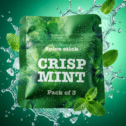 Mint flavor pouch with fresh mint leaves and ice